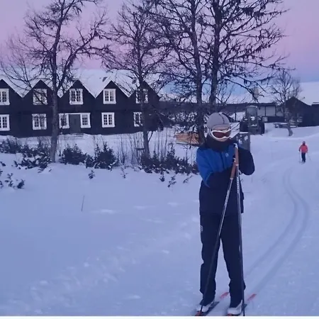 Chaleter Lauvåsen - Langeleiken *