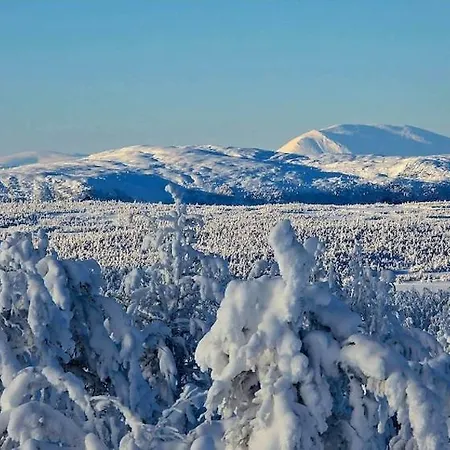 Lauvåsen - Langeleiken Sør-Fron